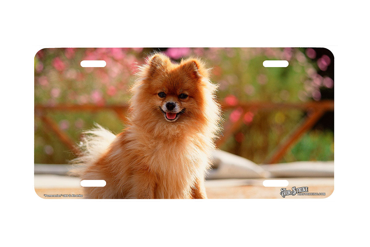 "Pomeranian" - Decorative License Plate