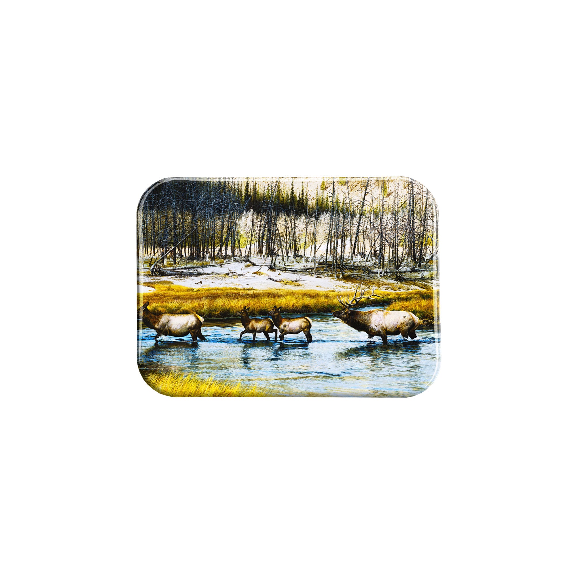 "Autumn Procession" - 2.5" X 3.5" Rectangle Fridge Magnets