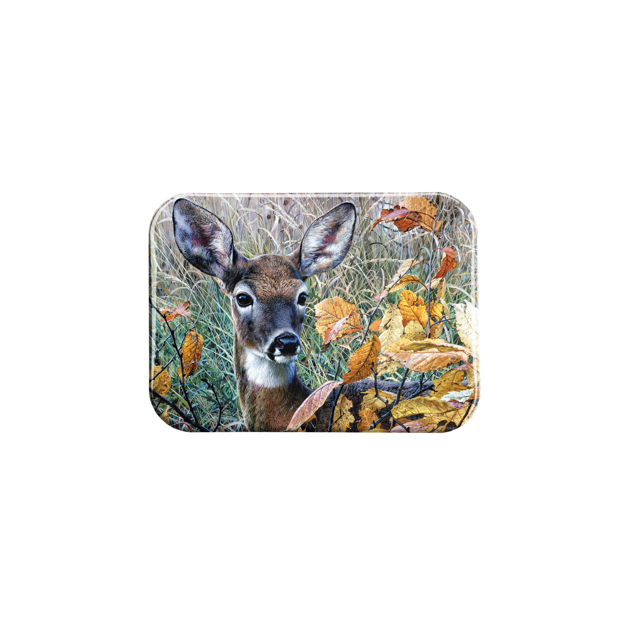 "Autumn Lady" - 2.5" X 3.5" Rectangle Fridge Magnets