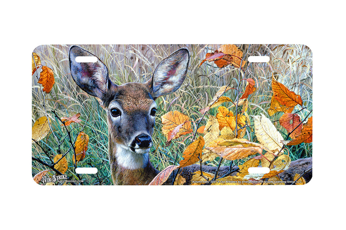 "Autumn Lady" - Decorative License Plate