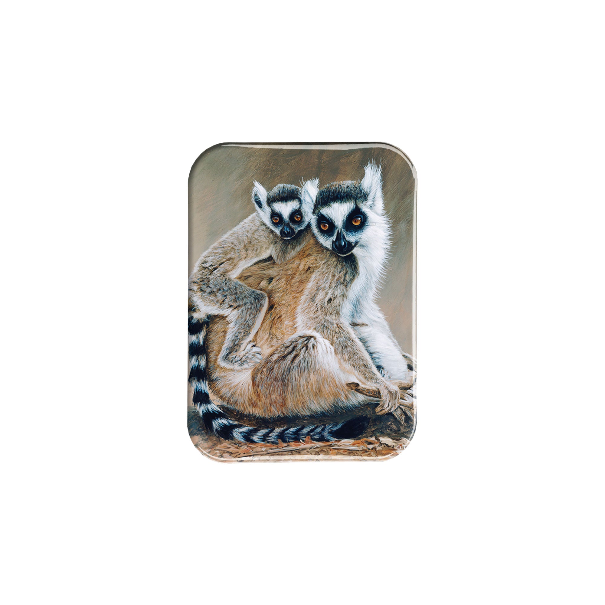 "Lemurs" - 2.5" X 3.5" Rectangle Fridge Magnets