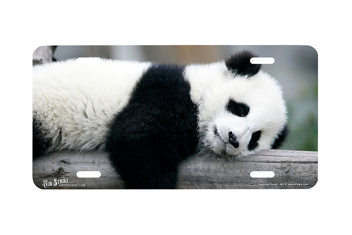 "Napping Panda" - Decorative License Plate