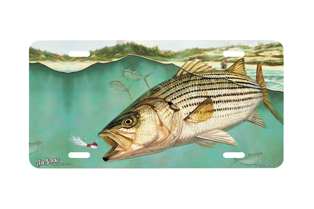 "Striper" - Decorative License Plate