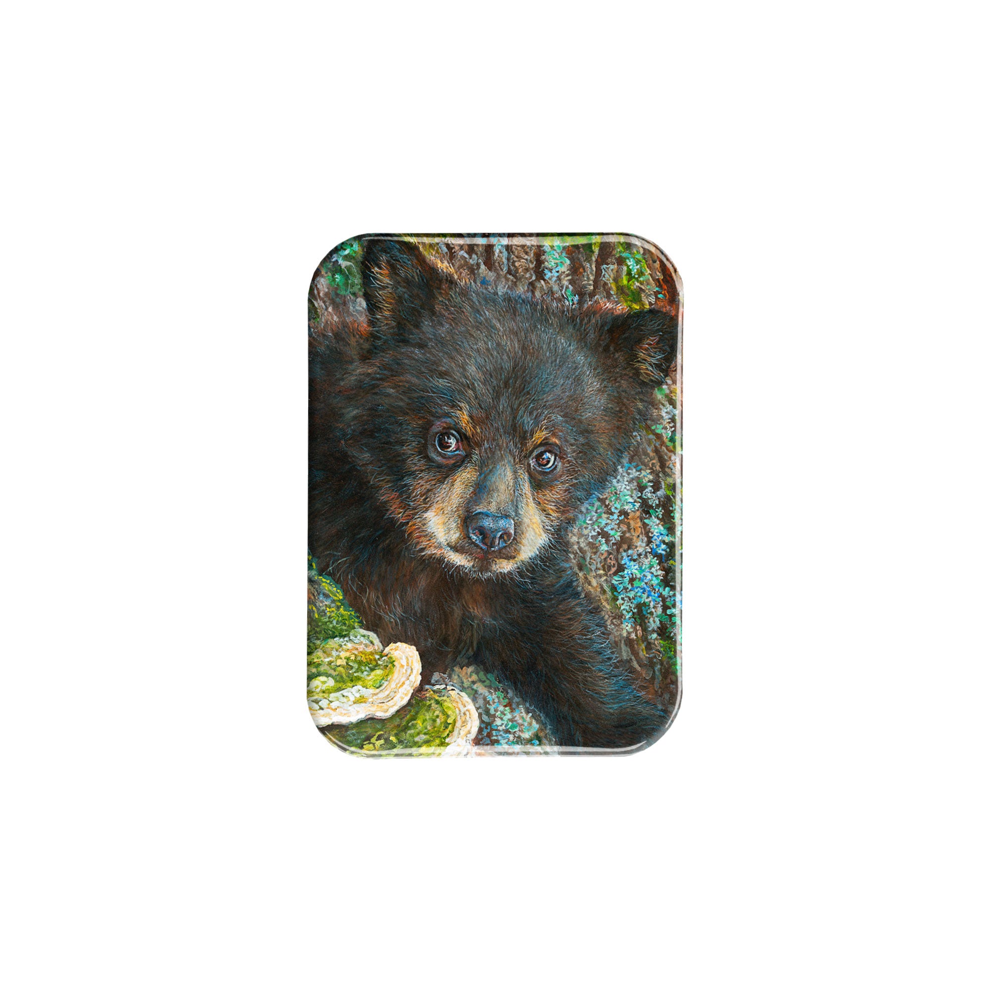 "Young Black Bear" - 2.5" X 3.5" Rectangle Fridge Magnets