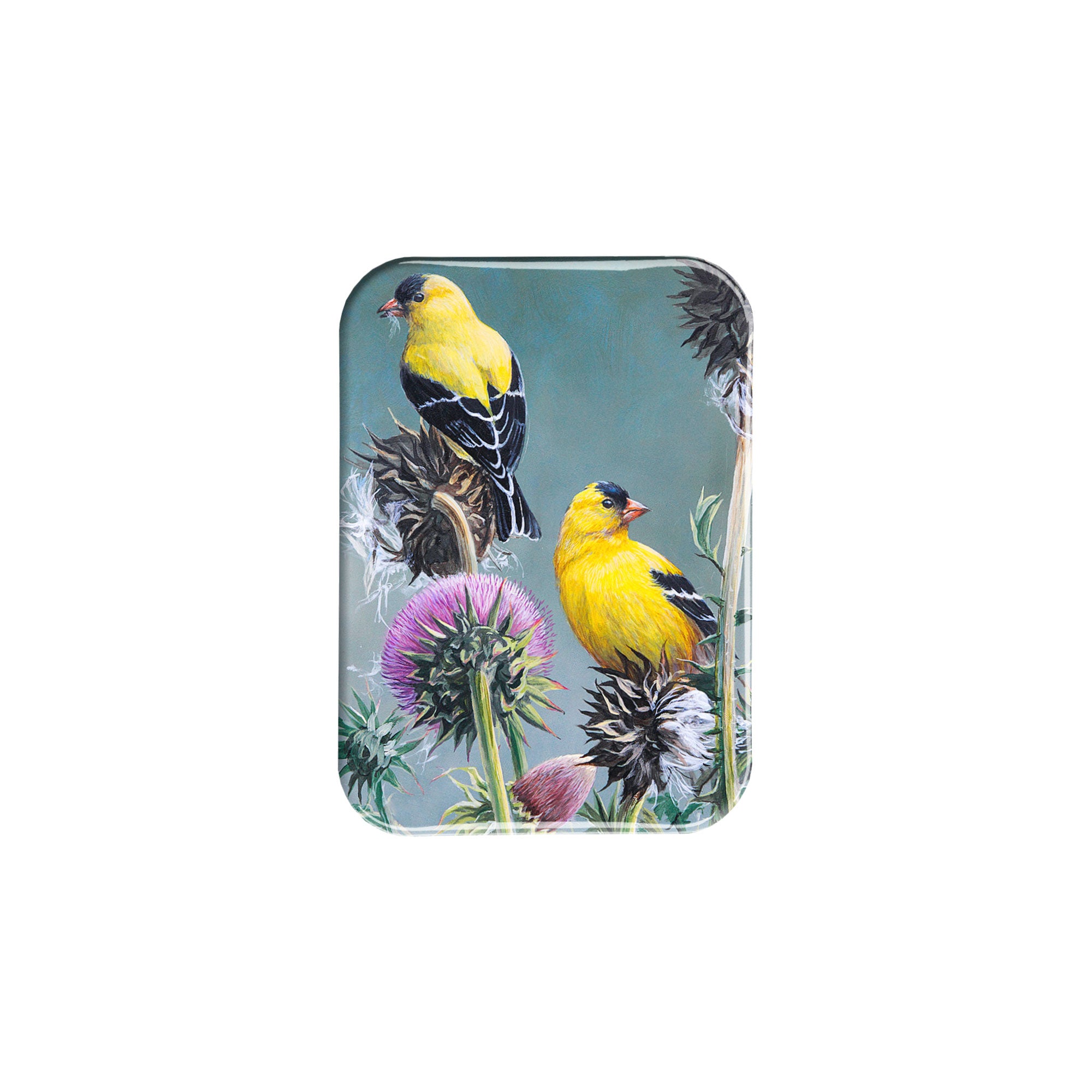 "Goldfinches" - 2.5" X 3.5" Rectangle Fridge Magnets