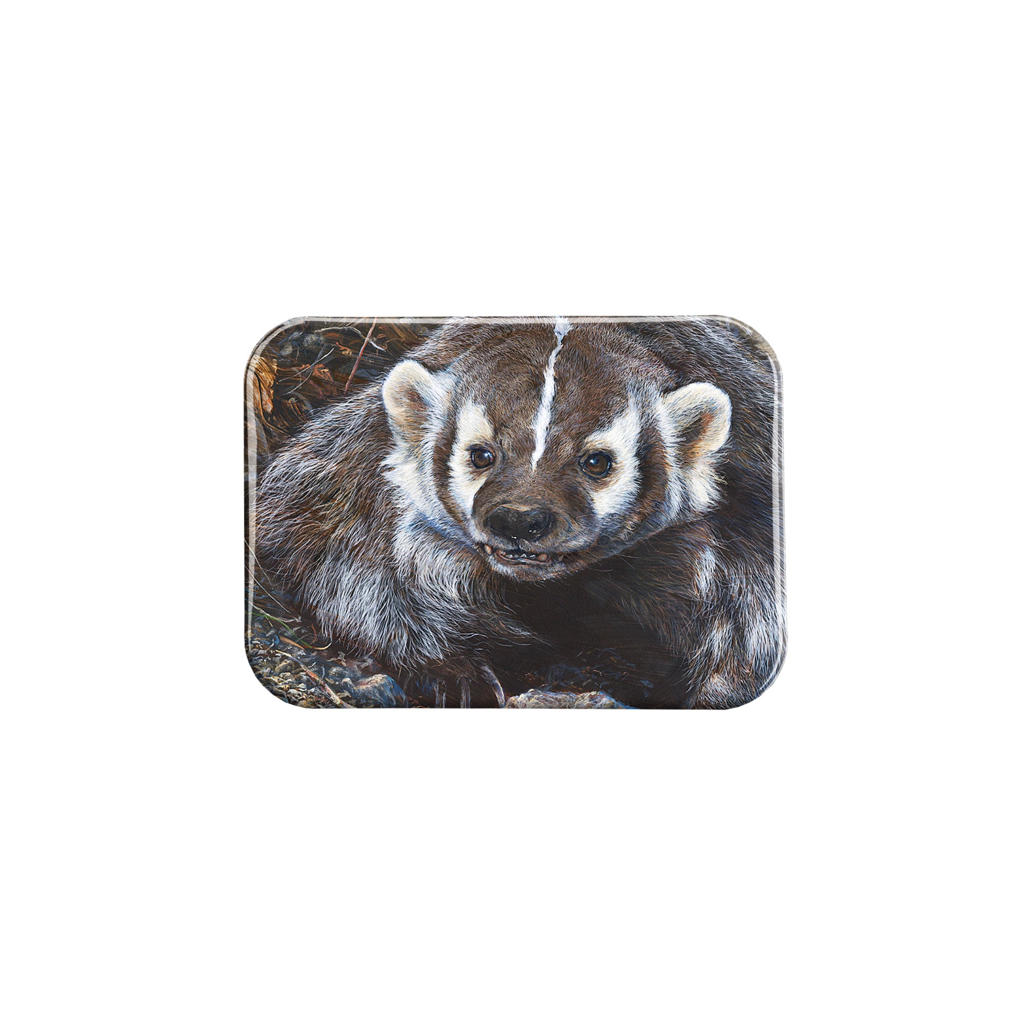 "Badger" - 2.5" X 3.5" Rectangle Fridge Magnets