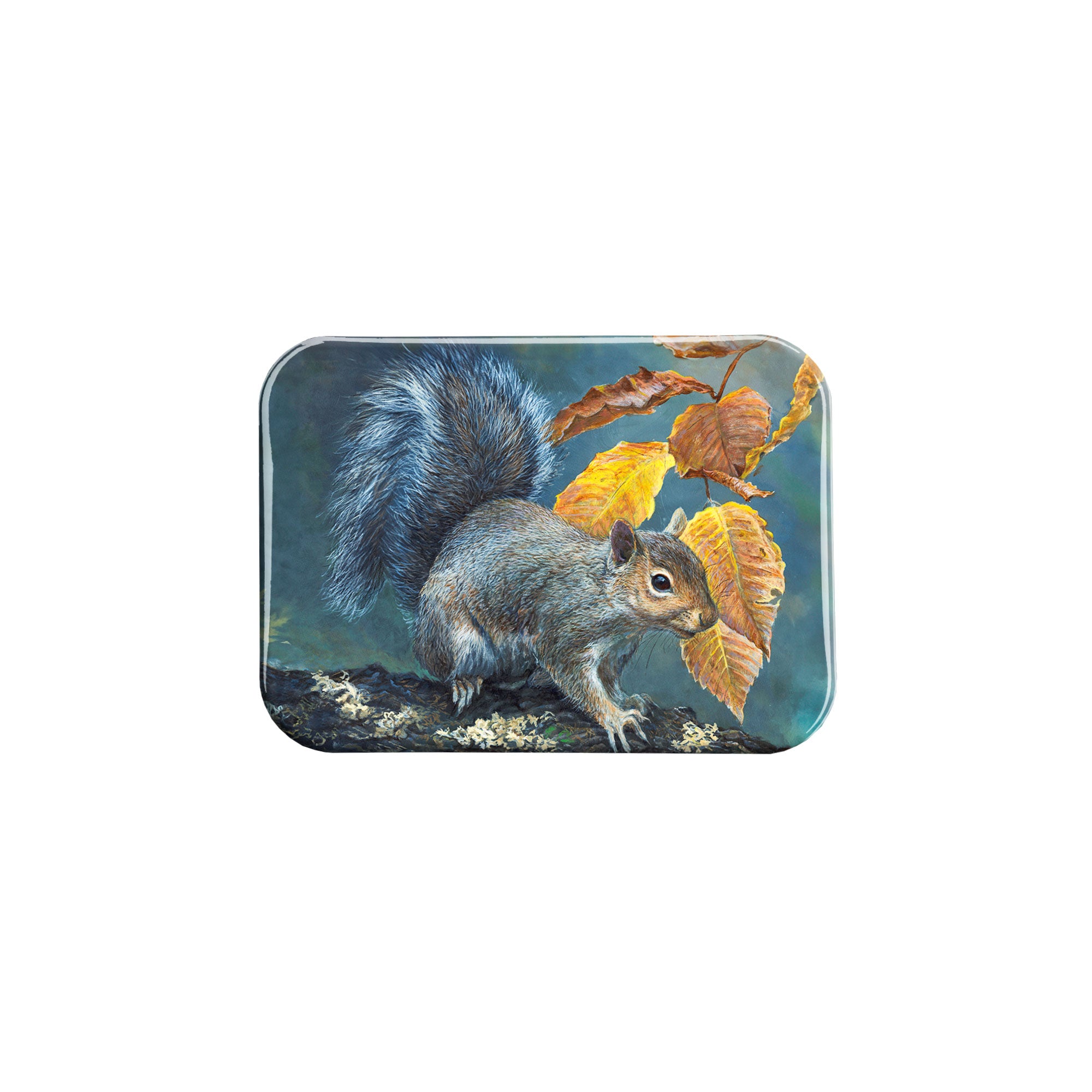 "Squirrel" - 2.5" X 3.5" Rectangle Fridge Magnets