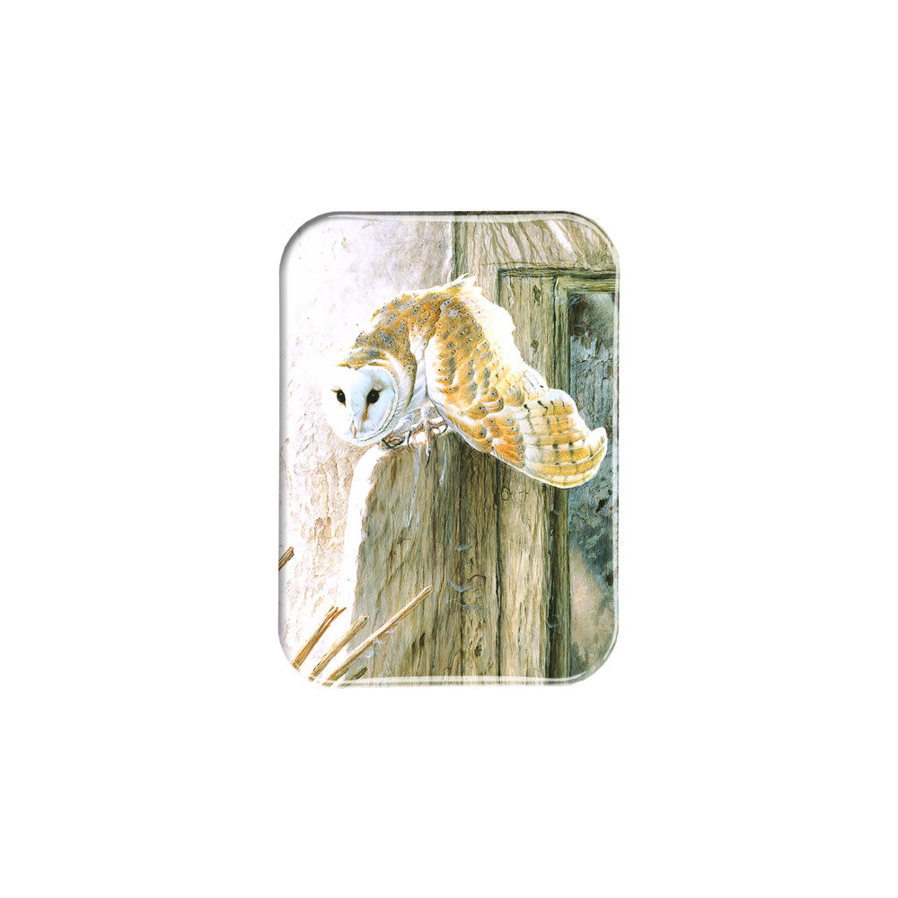 "Barn Owl" - 2.5" X 3.5" Rectangle Fridge Magnets