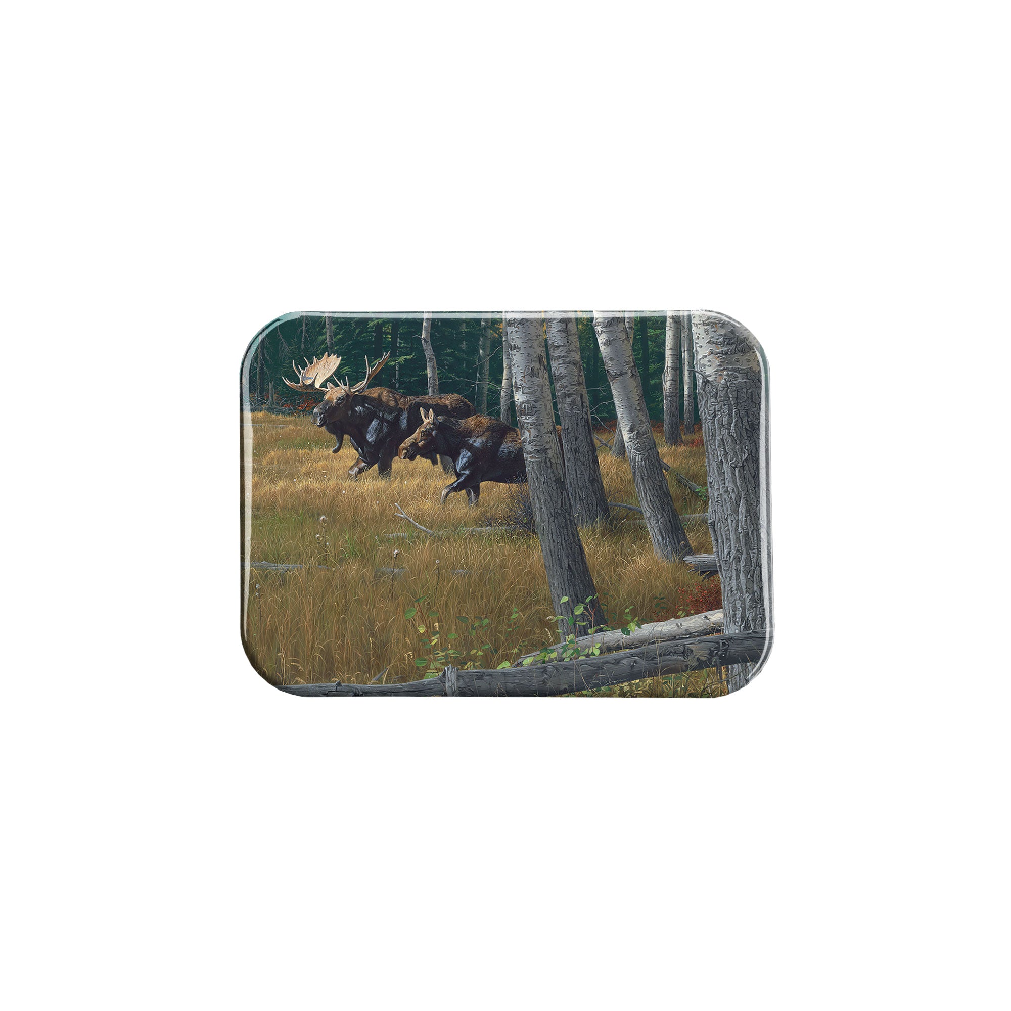 "Autumn Amore" - 2.5" X 3.5" Rectangle Fridge Magnets