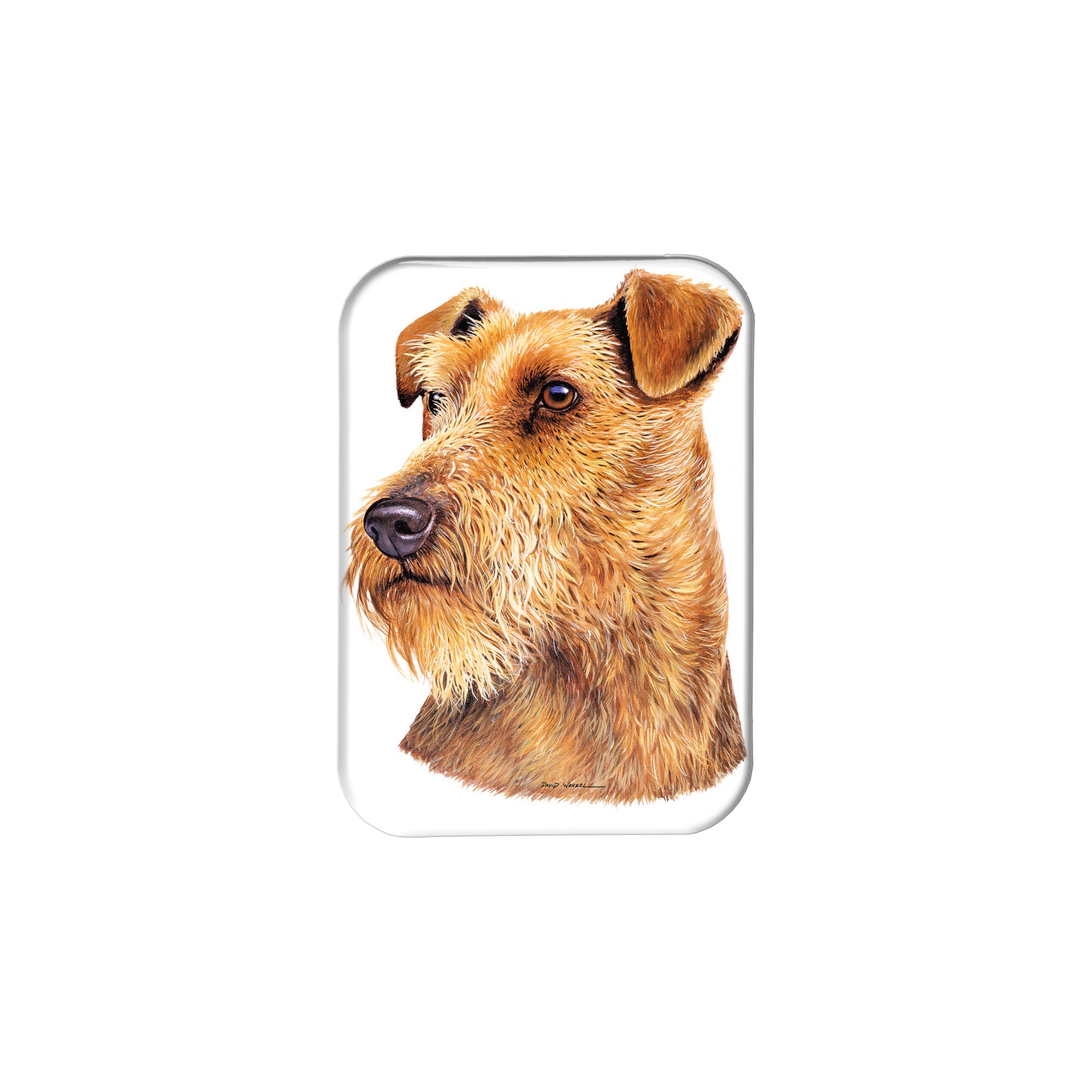 "Welsh Terrier" - 2.5" X 3.5" Rectangle Fridge Magnets