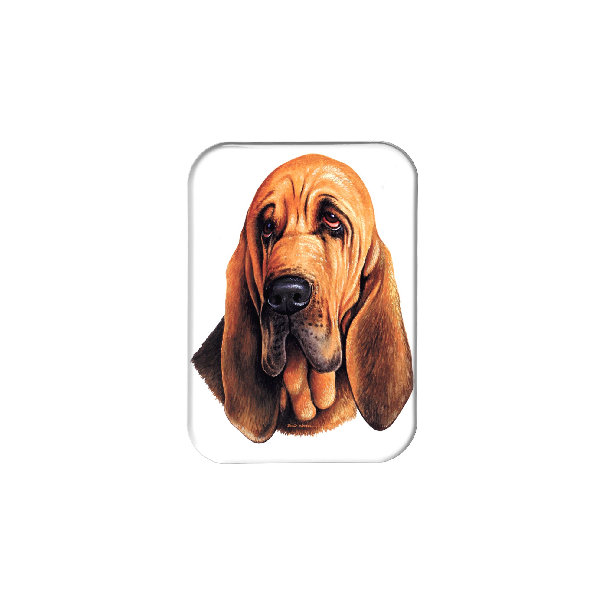 "Bloodhound" - 2.5" X 3.5" Rectangle Fridge Magnets