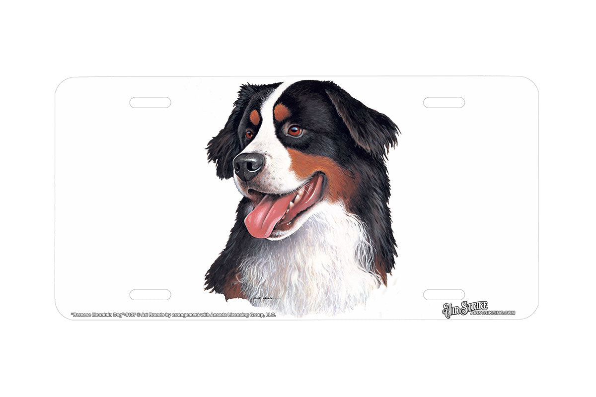 "Bernese Mountain Dog" - Decorative License Plate